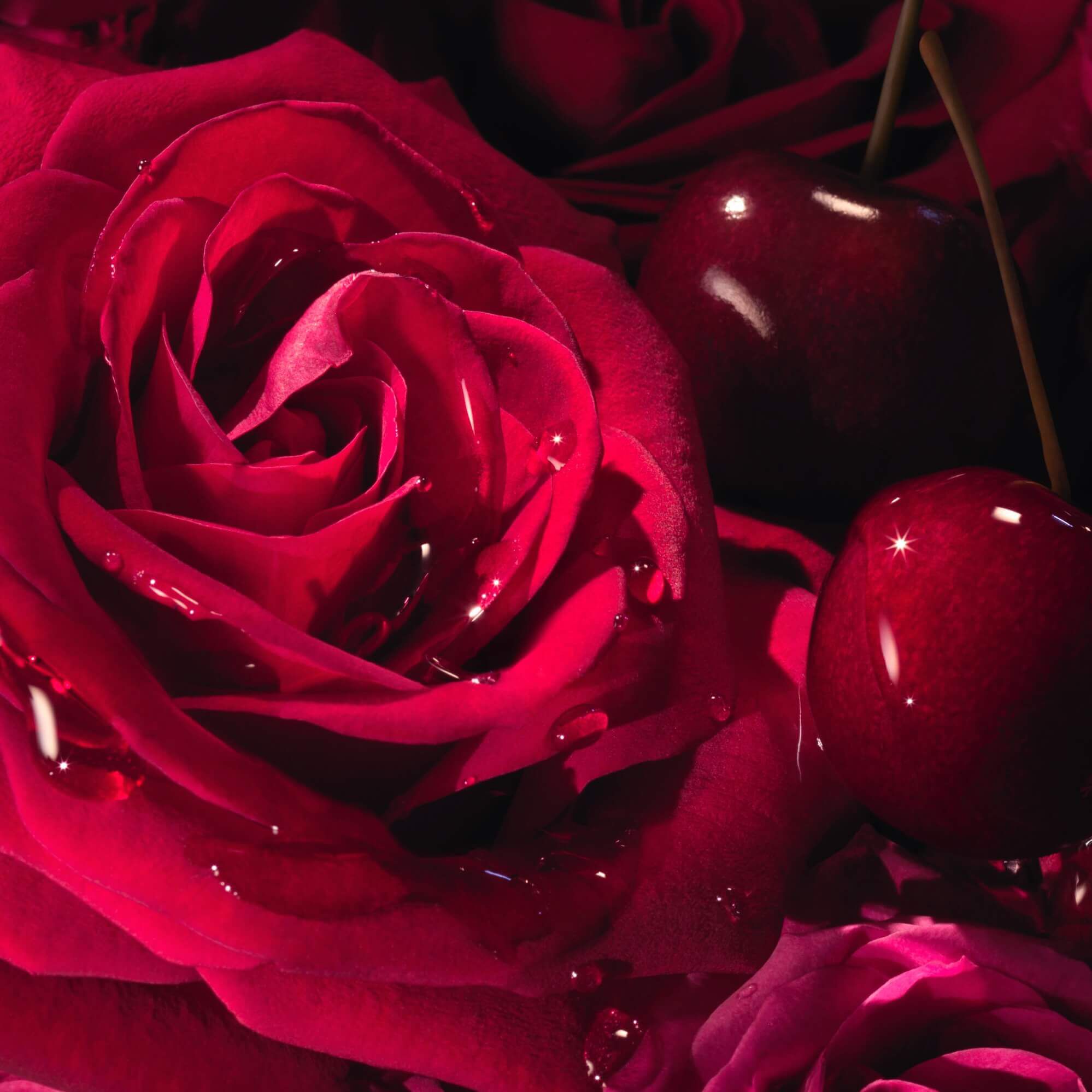 La nuit tresor dentelle de roses discount the love calendar