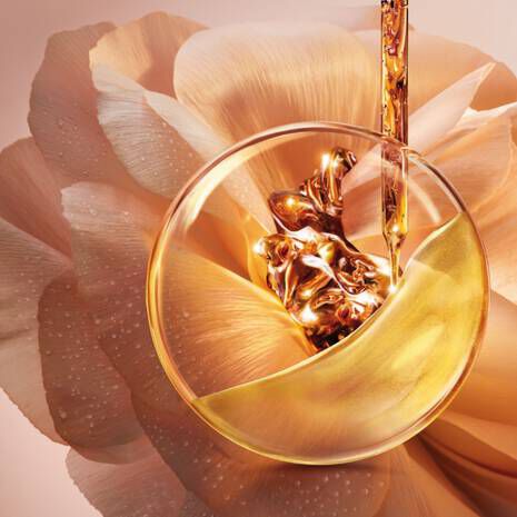 ABSOLUE EYE CREAM COLLECTION