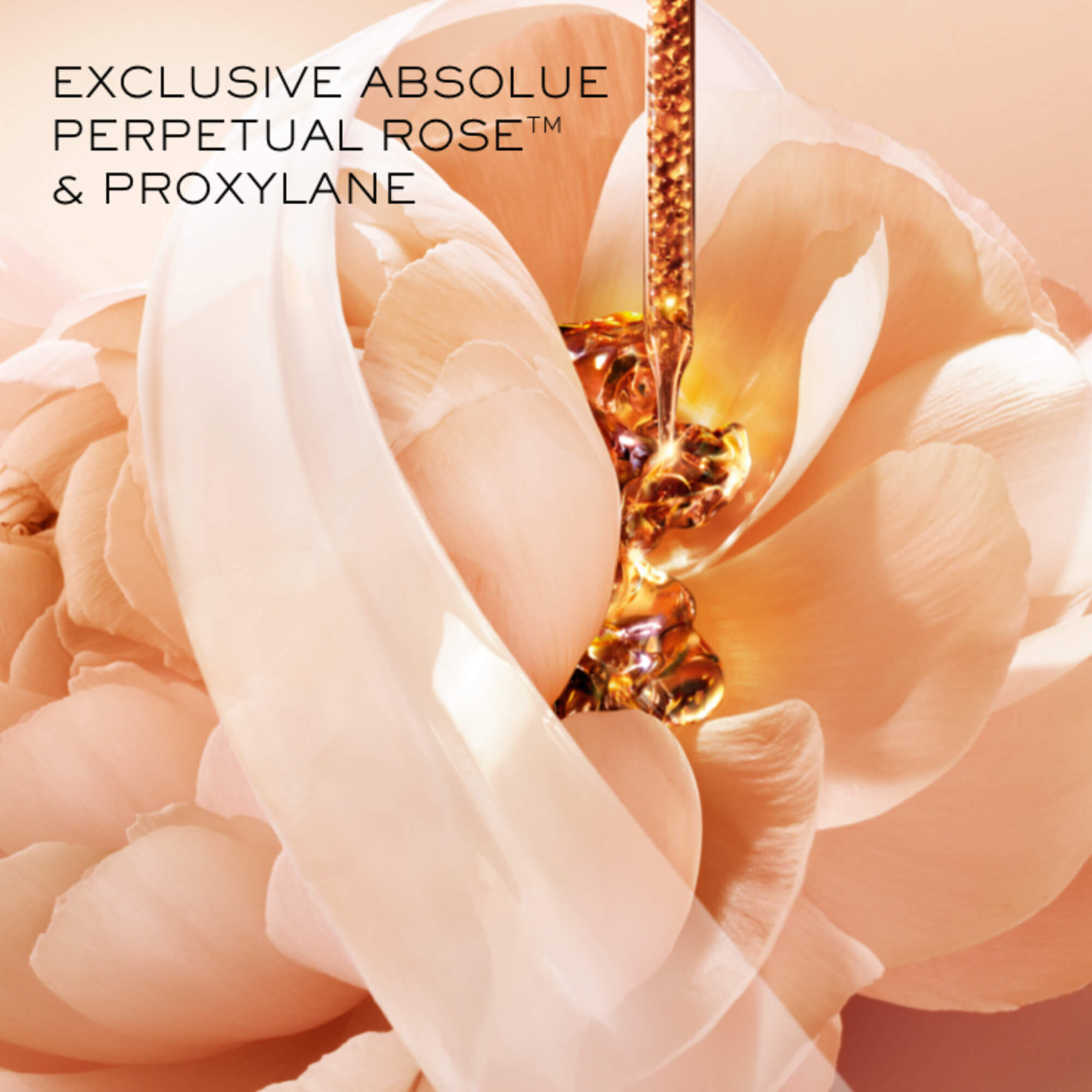 ABSOLUE CREME LEGERE REGENERANTE ILLUMINATRICE