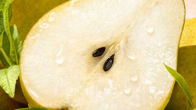 Vizual ingredienci - detail hrušek