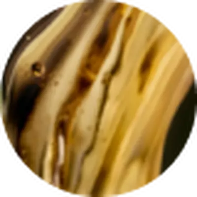 Produktovy zaběr složky Matrix Oil