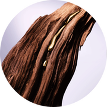 Pohled na kus dřeva s lesklym zlatym vlaknem, kontrastujici s přirodni texturou.