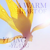 A close-up of a yellow ylang-ylang flower against a bright blue sky, with the text "A Warm Heart of Ylang-Ylang" overlayed.