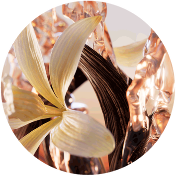 Detailni zaběr na květinu a abstraktni skleněne prvky, kombinujici přirodni a umělecke prvky v elegantnim designu.