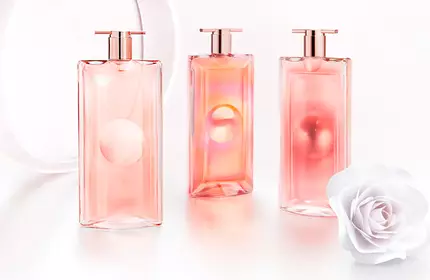 Three elegant perfume bottles in soft pink hues, featuring minimalist designs, sit on a white background alongside a delicate white rose.