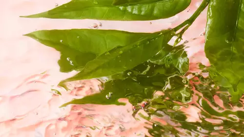 Nove vizualy svěži krasy pro Lancome