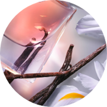 Skleněna lahev parfemu se skořicovymi tyčinkami a okvětnimi listky v pozadi.