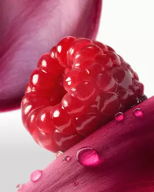 Ilustrace ovocne vůně Lancome