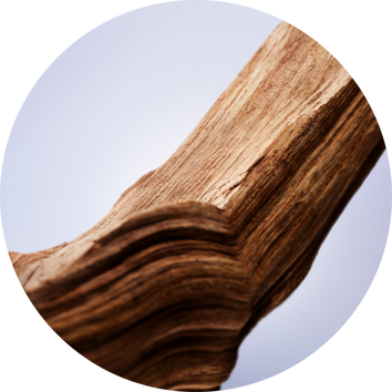 Detailni zaběr na strukturu dřeva se zřetelnymi vrstvami a přirozenymi texturami.