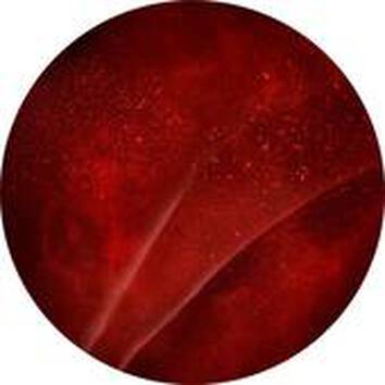 Kruhovy obraz s tmavě červenym pozadim a jemnymi spektry, evokujici abstraktni texturu nebo latku.